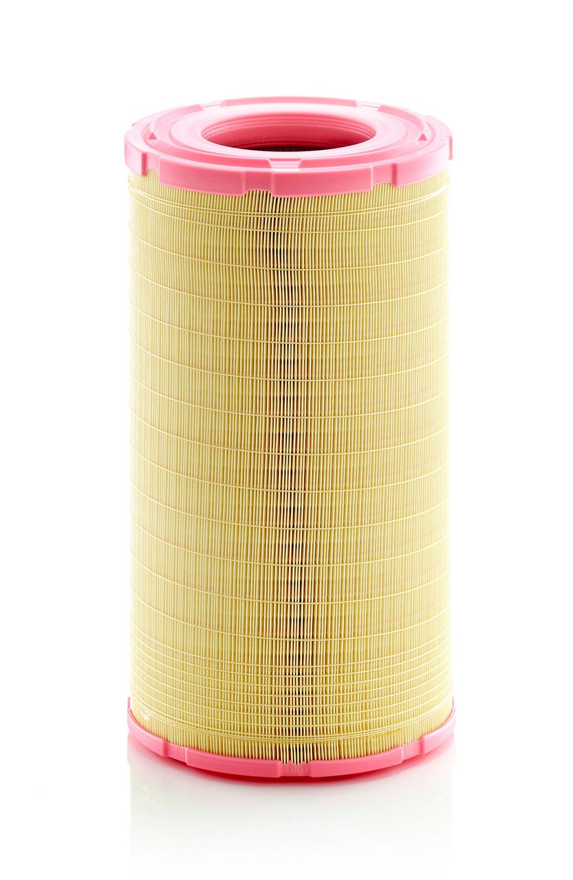 MANN-Filter C291366/1 Luftfilter